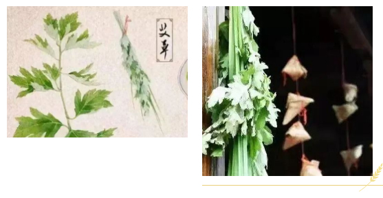 1657172253.jpg 一年一端午-一歲一安康_14.jpg