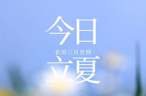 日高蟬鳴春意遠，萬物初壯始立夏-浙江元金包裝有限公司