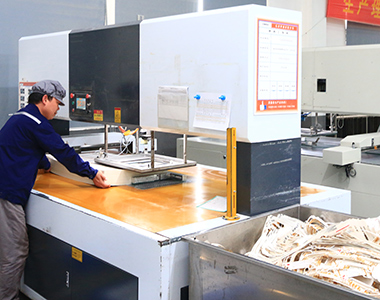 清廢機-浙江元金包裝有限公司